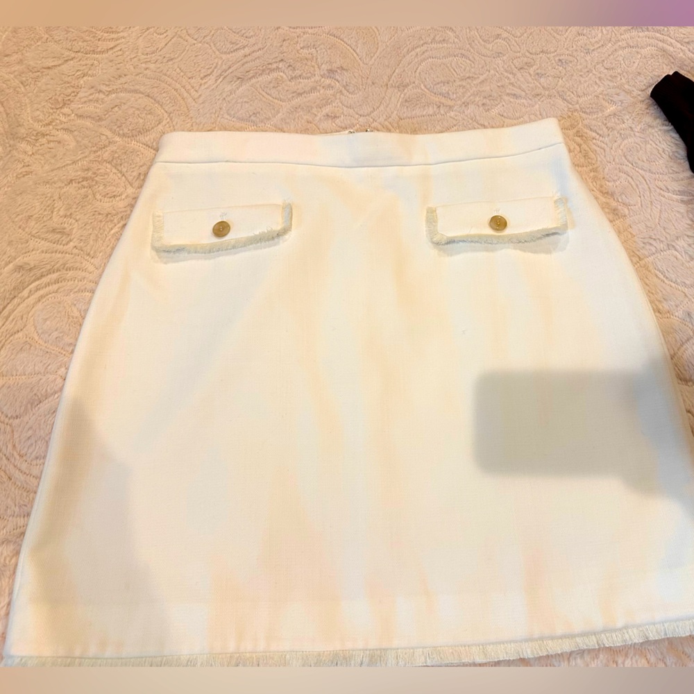 Ann Taylor business skirt